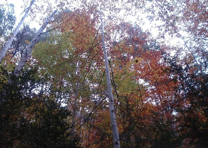 El Churron Hotell Larrés